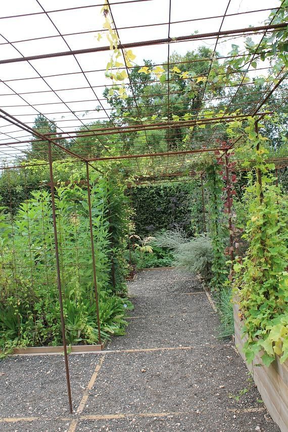 S'aménager un espace pour plantes grimpantes avec du fer à béton et treillis  soudé - passeur de plantes