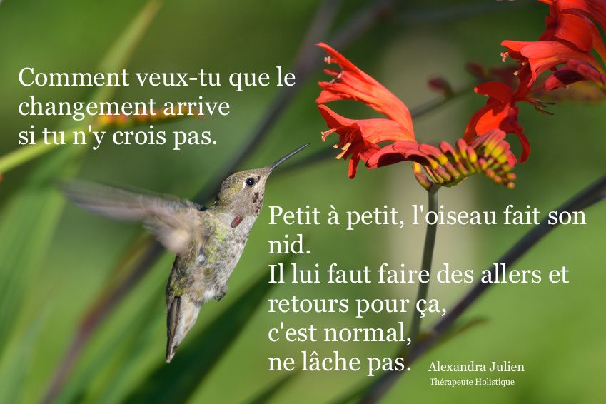 Pensées positives du jour :)