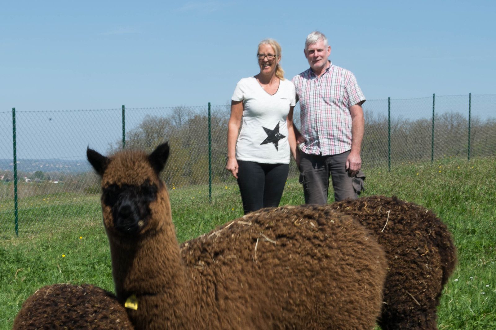 le site de rencontres pof