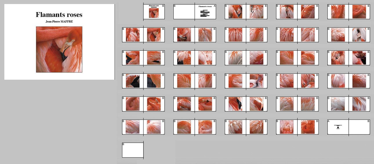 Commande de livres de photos