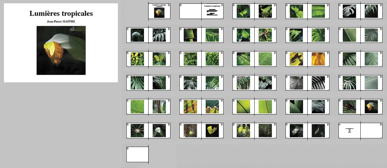 Commande de livres de photos