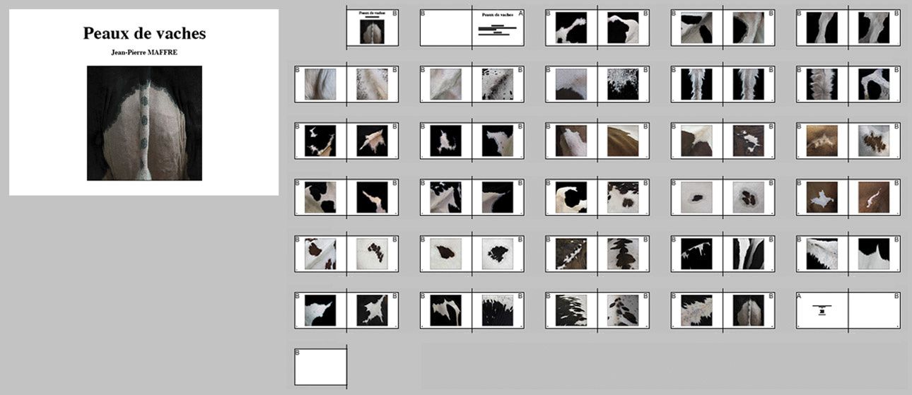 Commande de livres de photos