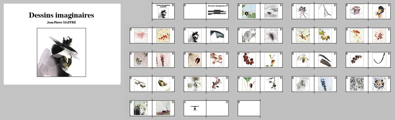 Commande de livres de photos