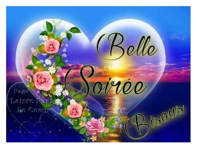 ob_37817a_bonne-soiree.jpg