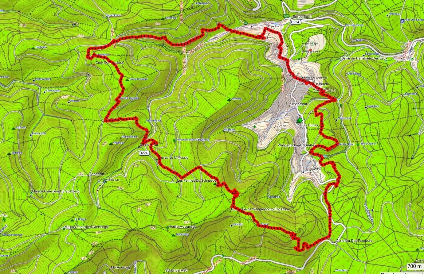 Single schneeberg