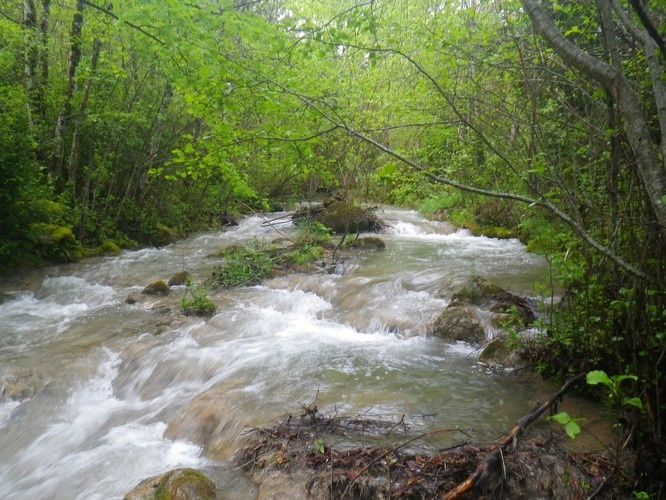 Deux jours de pêche pendant le week end du 8 mai Une canne nommée: RS TORRENT .