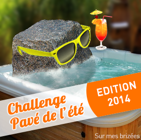 Challenge Pavé de l'été !