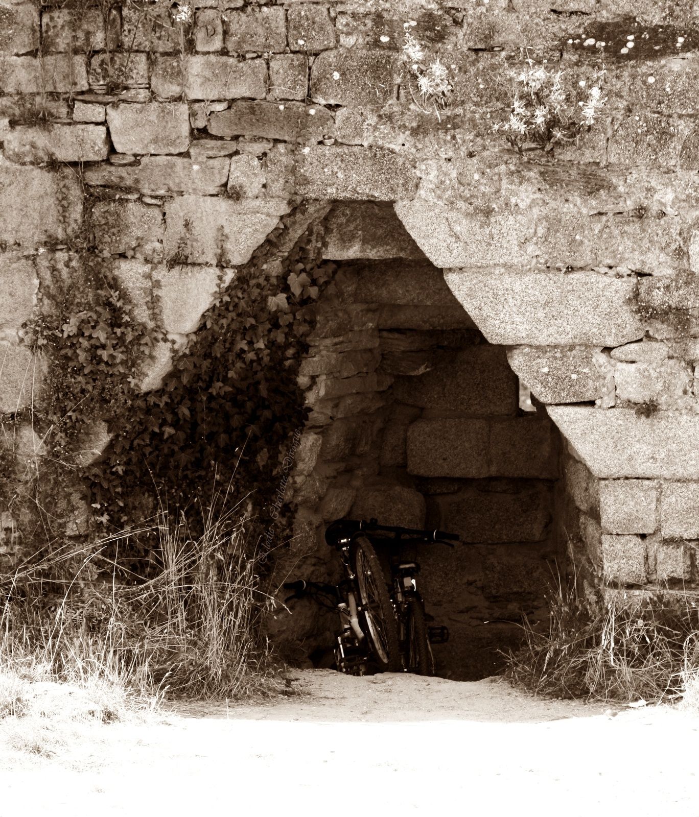 A Bicyclette, (photographie @elodivague - Reflex, Série Concarneau)