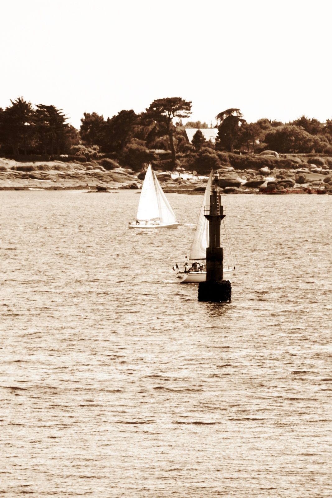 Sans Titre (photographie @elodivague - Série Concarneau)