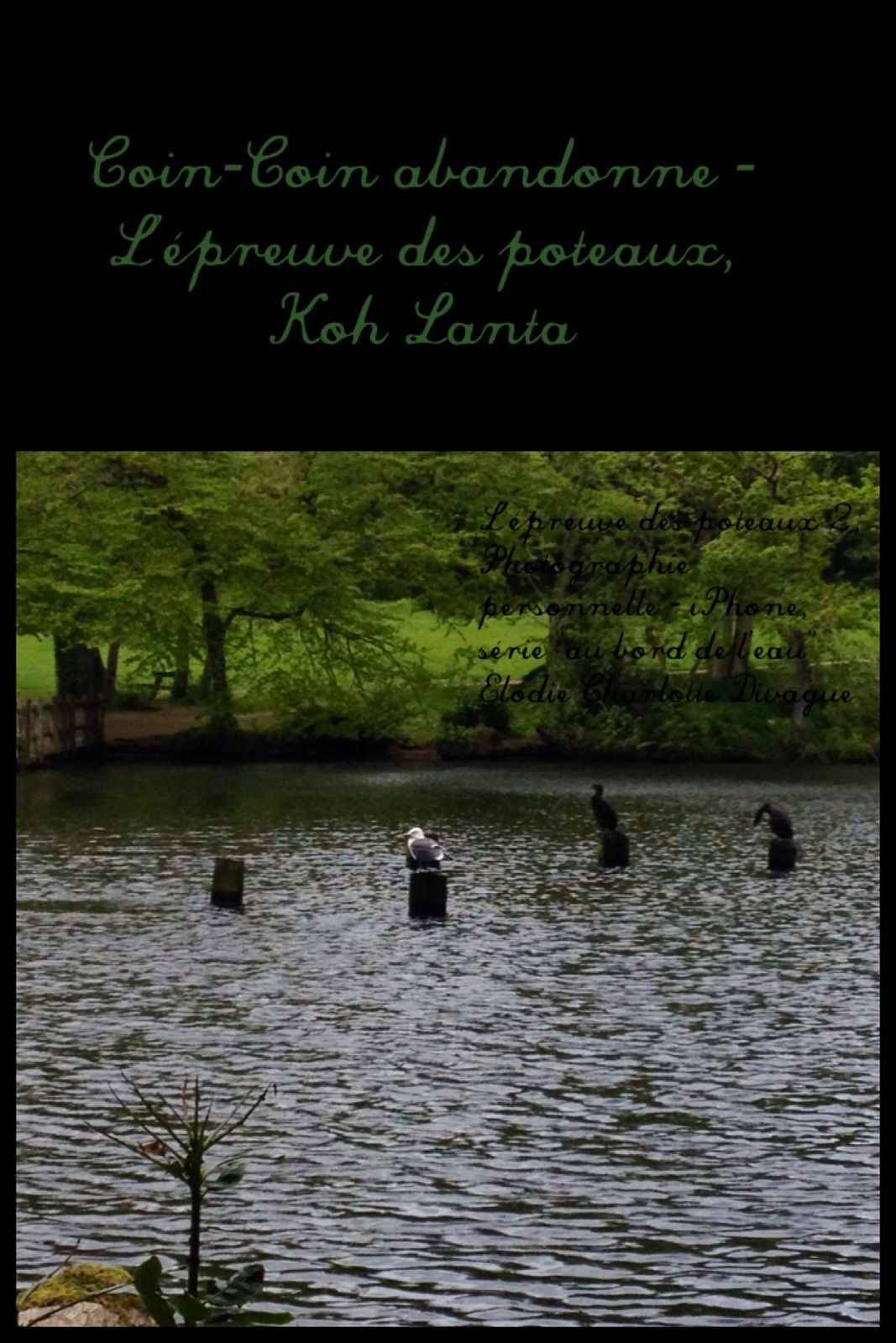 L'épreuve des poteaux 2, (photographie personnelle, série "Au Bord de l'Eau")