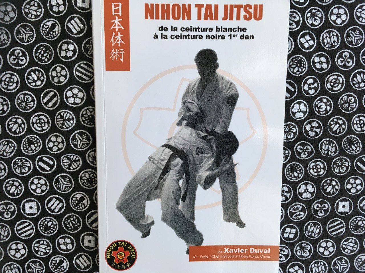 L'oeil du kohaï sur : Nihon Taï Jitsu, de la ceinture blanche à la ceinture  noire de Xavier Duval - Aïki-Kohaï