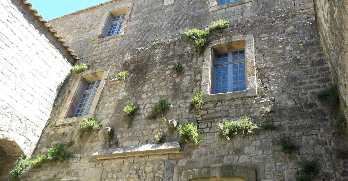 Week end -Rencontres Dollls à Carcassonne