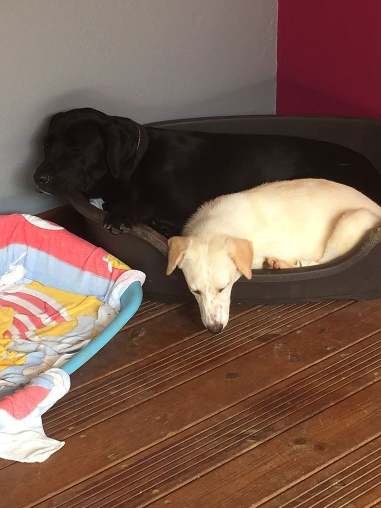 Les premiers moments dans la nouvelle maison avec la grande, très grande soeur !