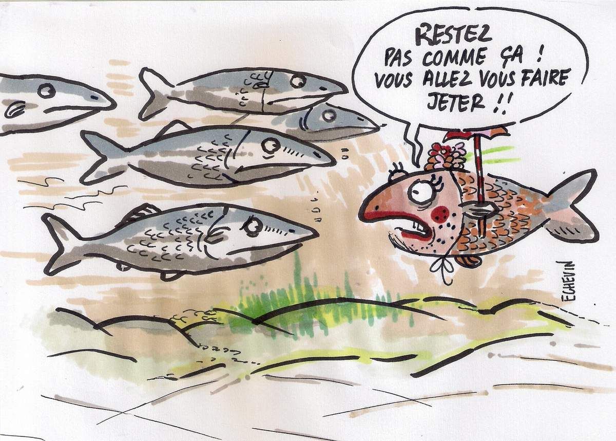 Carnaval de Dunkerque : hareng-dez vous ici...