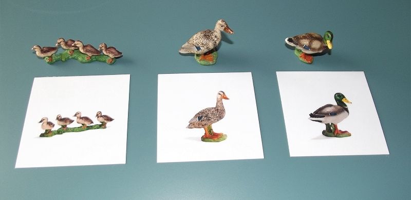 Les animaux de la ferme