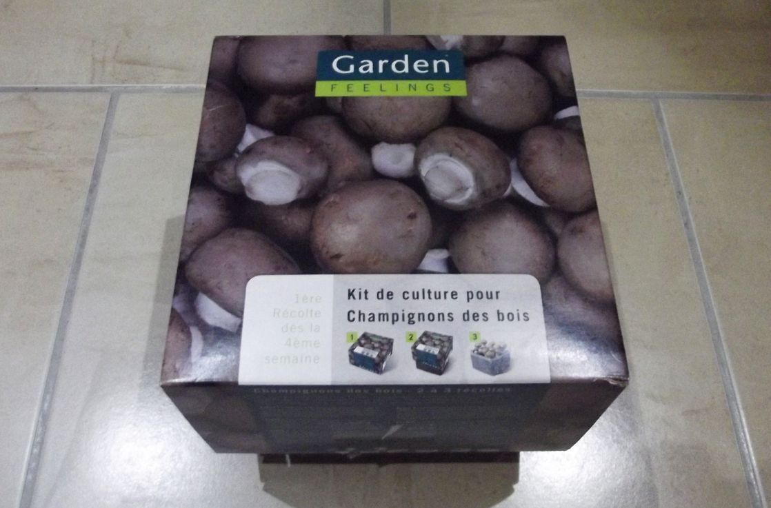 faire pousser des champignon