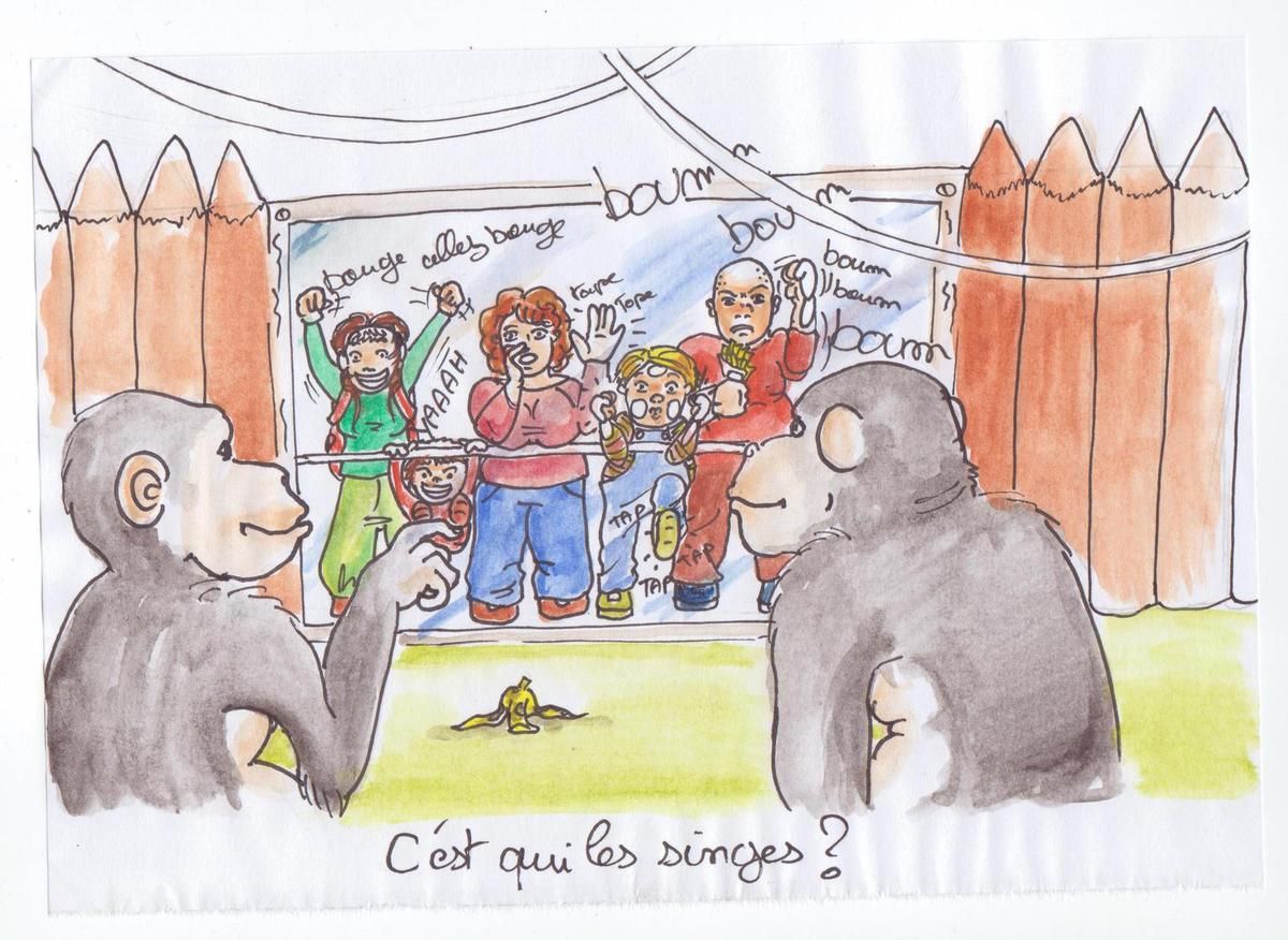 Visite au zoo