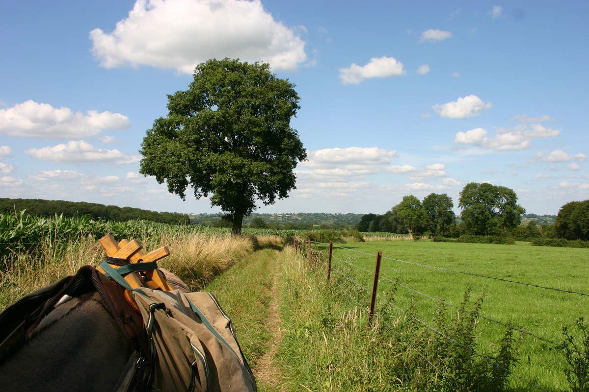 Randonnée 2 jours/1 nuit sur le GR de pays de l'Avesnois - Ânes Evasion