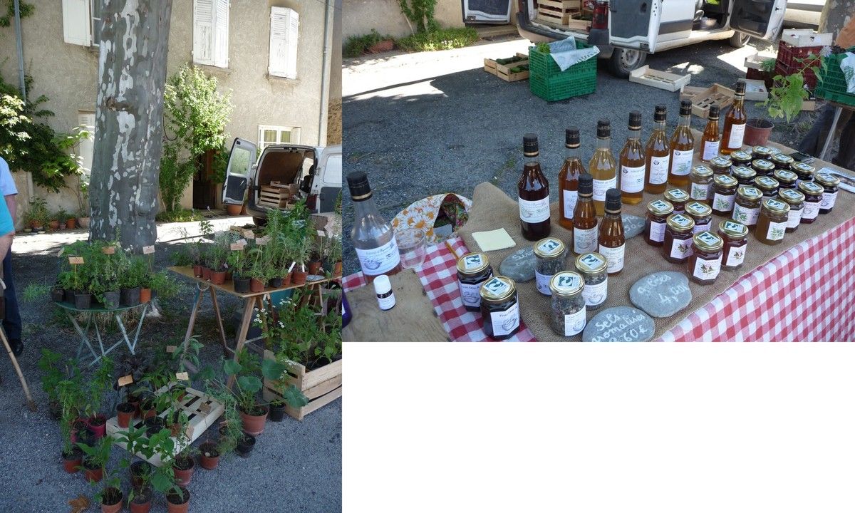 marcher nature rencontre nos tendresses