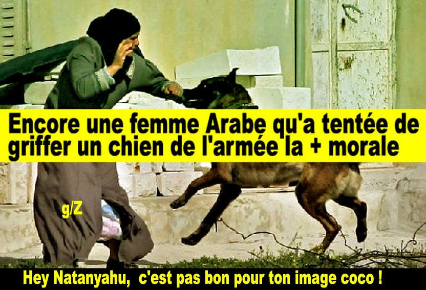 Israël: +972 - Très Net Magazine