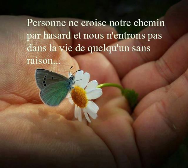 Citations bonheur rencontre