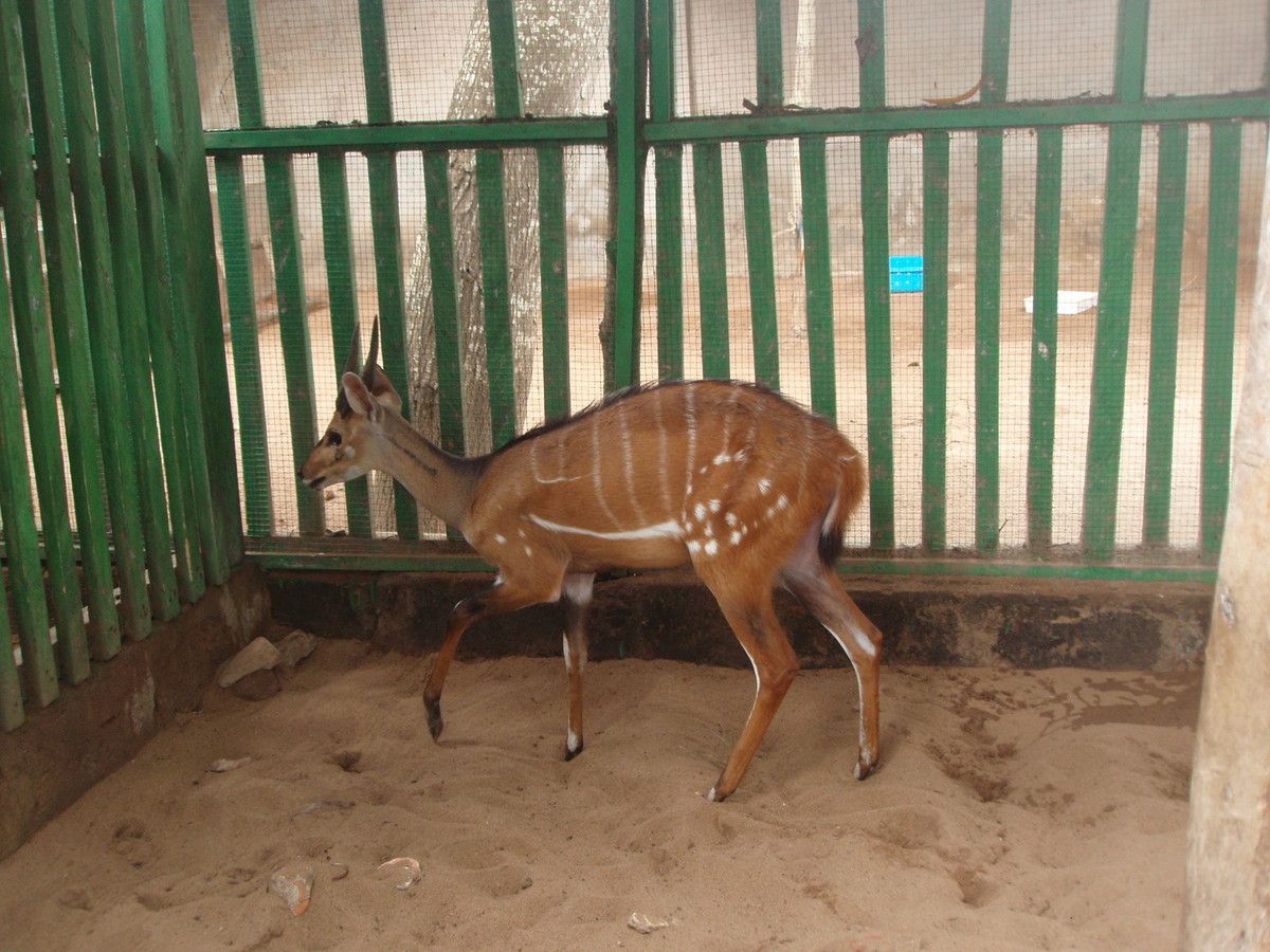 rencontre togo
