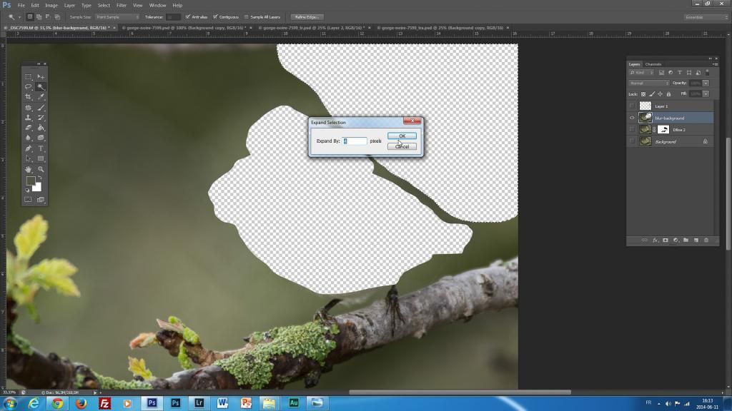 photoshop cs6 supprimer un objet indésirable