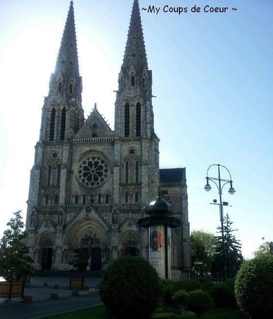 Chat chatenay malabry