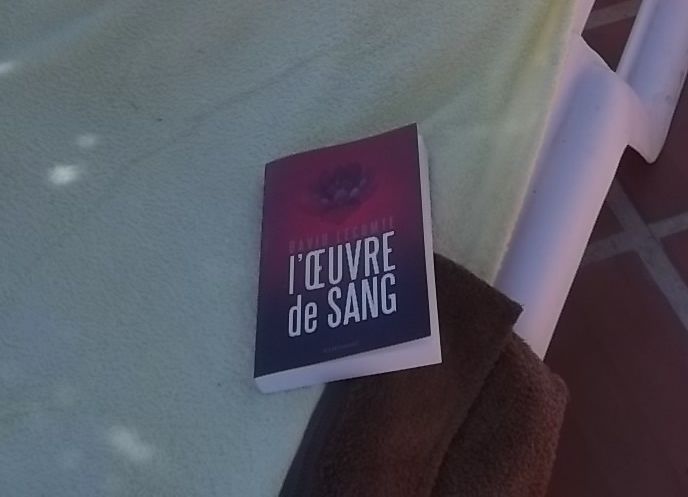 "L"Oeuvre de Sang" - David Lecomte