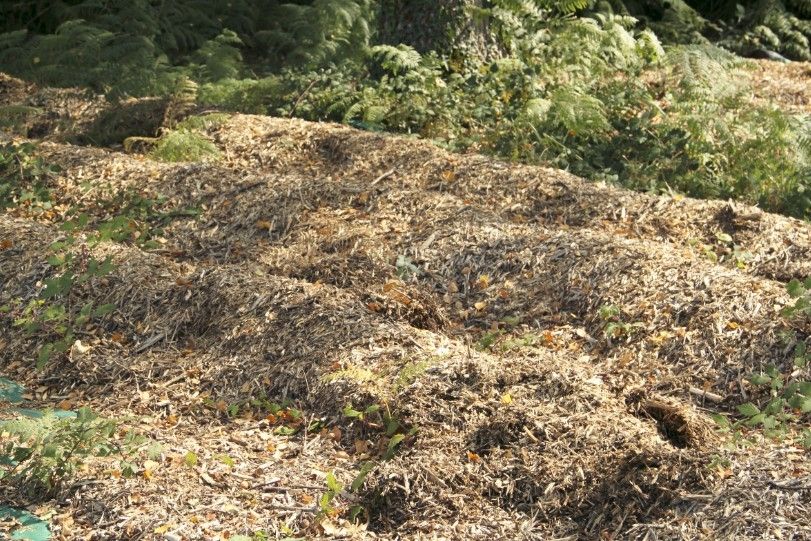 préparer le potager préparer le potager