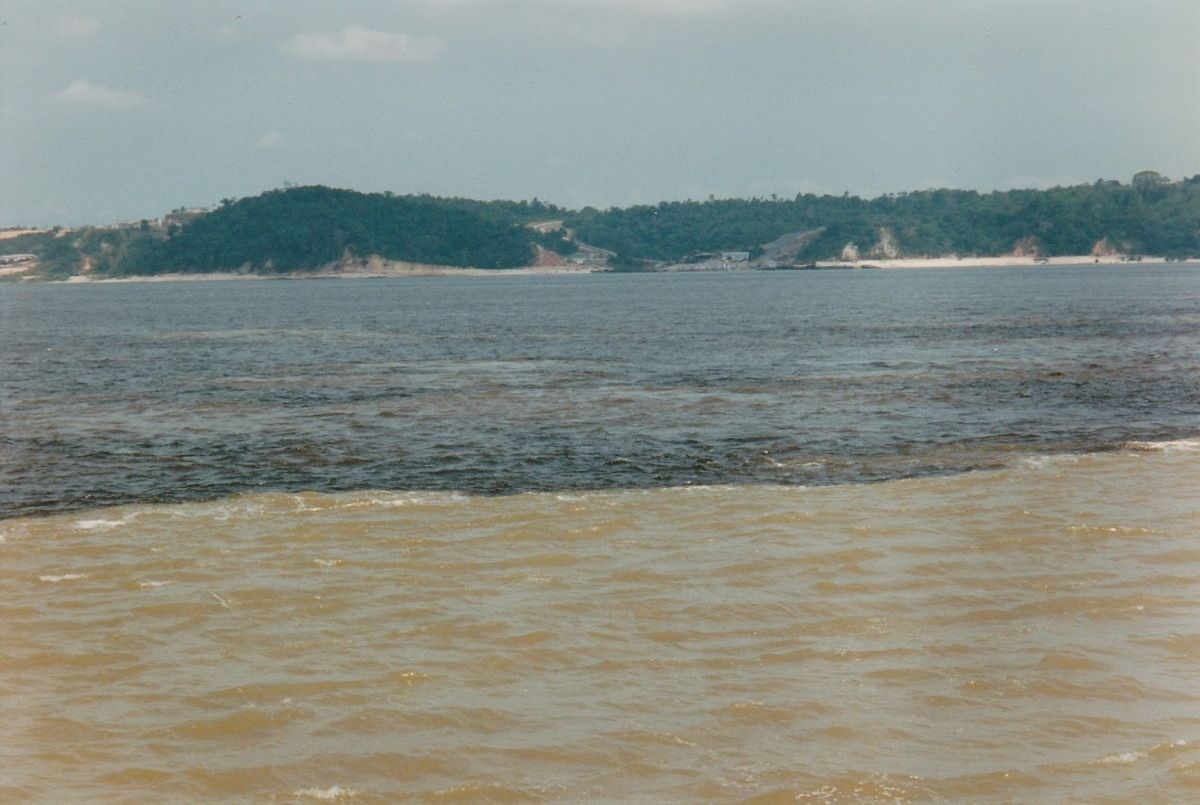 rencontre des eaux manaus
