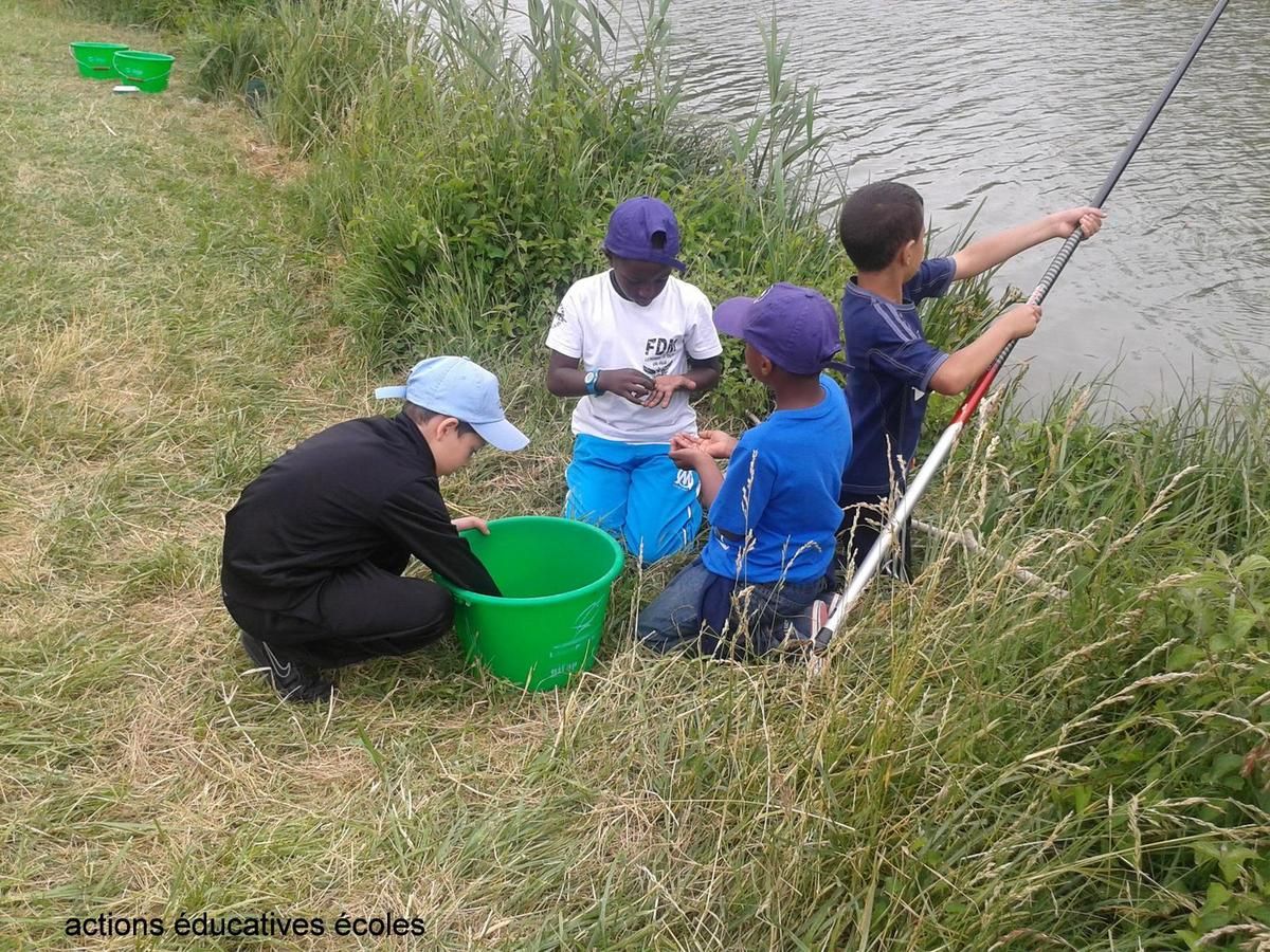 Comme souder perlovkou sur la pêche dans la multicuisson