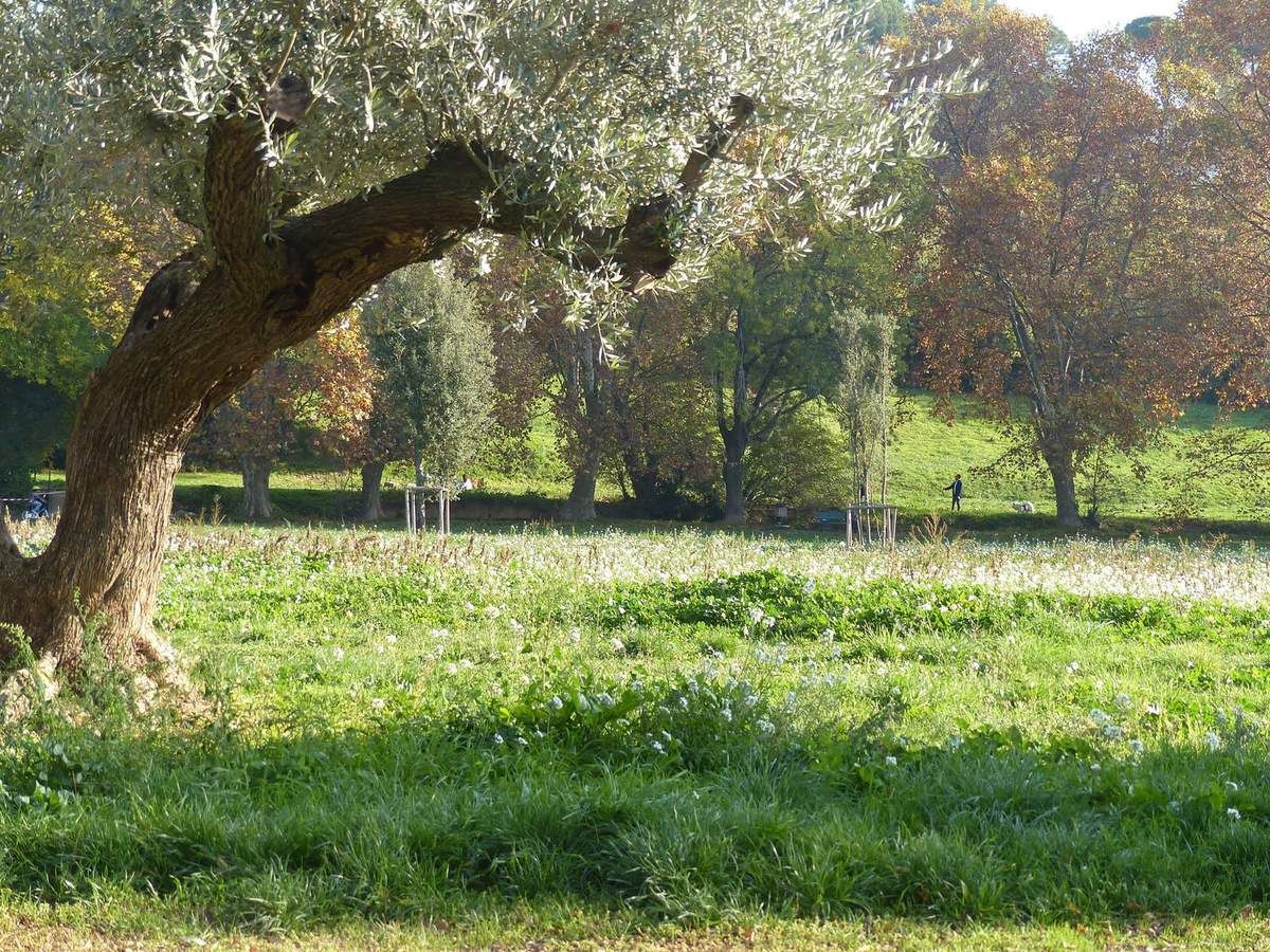 Plan de Cuques  Parc du Bocage  Amicale des Pennes Mirabeau