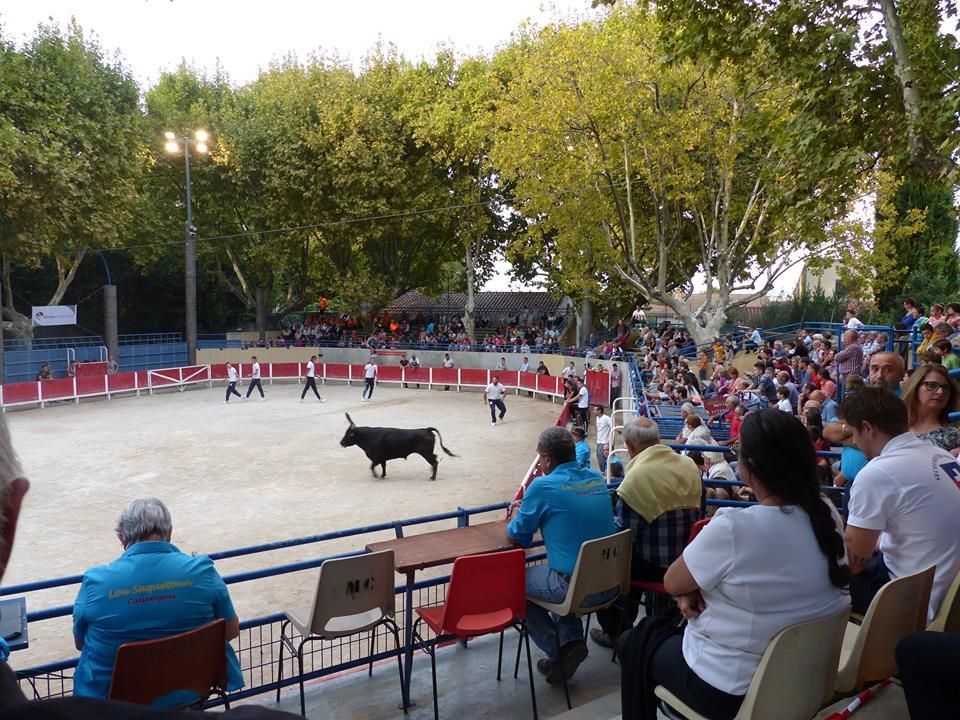 Diaporama de la Finale de Graines de Raseteurs 2015