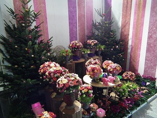 Week-end tourangeau - 2 - Novafleur