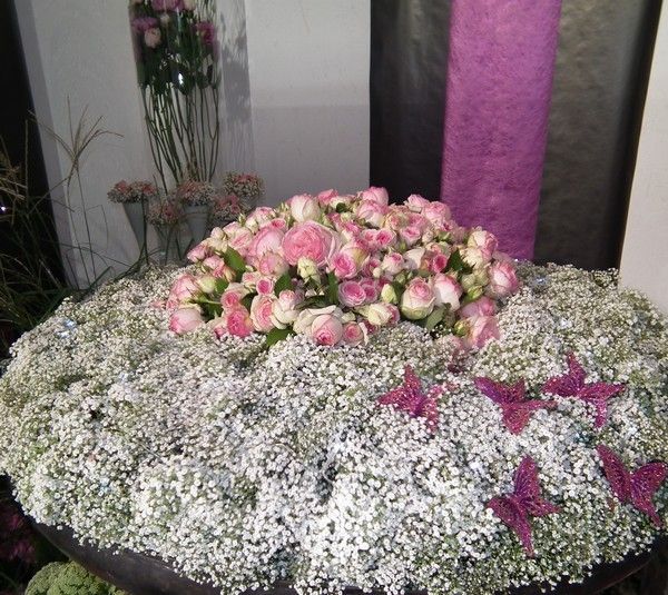 Week-end tourangeau - 2 - Novafleur