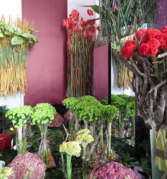 Week-end tourangeau - 2 - Novafleur