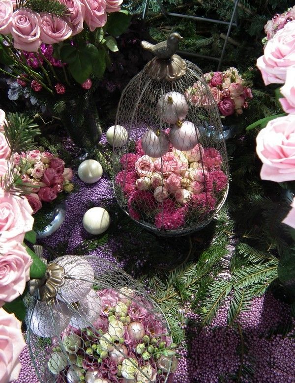 Week-end tourangeau - 2 - Novafleur