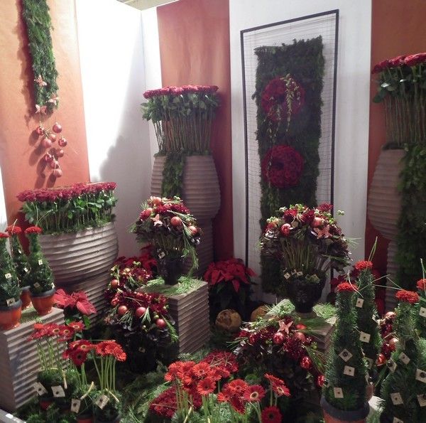 Week-end tourangeau - 2 - Novafleur