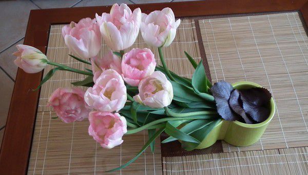 Margaux et ses fleurs - avec une botte de tulipes