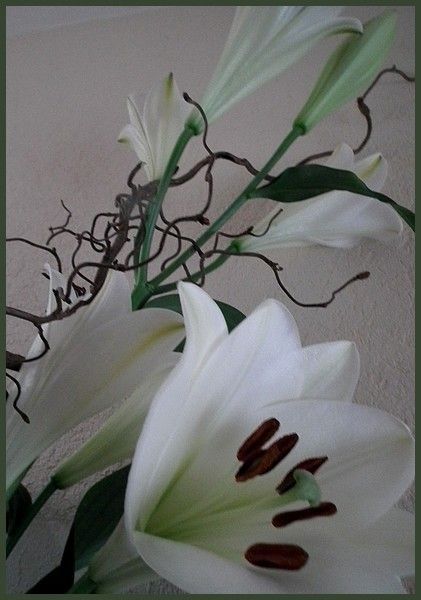 Margaux et ses fleurs, bouquet d'avril