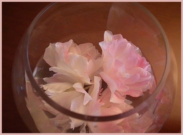 Margaux et ses fleurs... deux petits riens très sympas