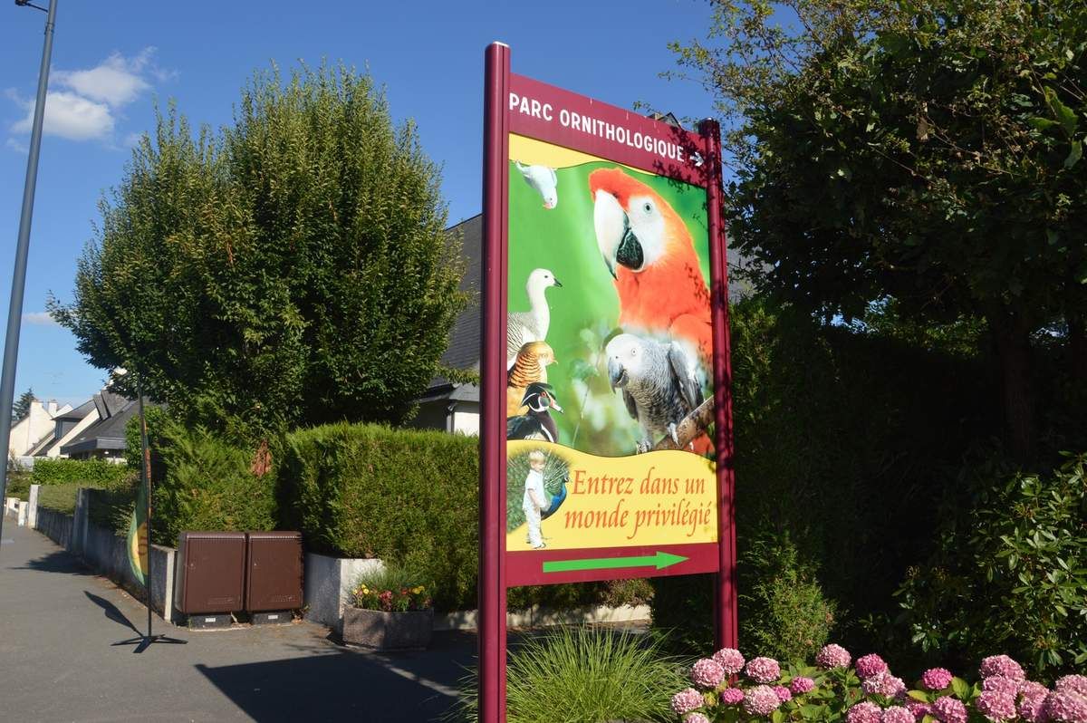 Notre balade au Parc Ornithologique de Bretagne à Bruz