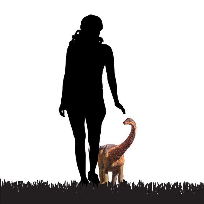Sarmientosaurus Was a 10-Ton Dinosaur With a Plum-Sized Brain