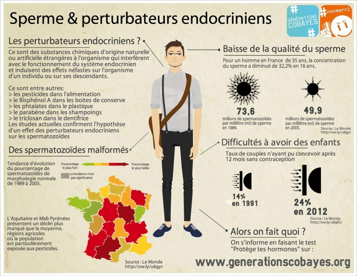 qualite des spermatozoïdes qualite des spermatozoïdes