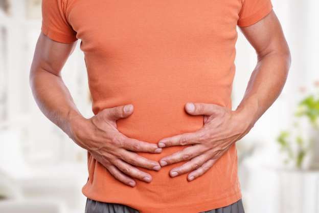 testicule de l homme