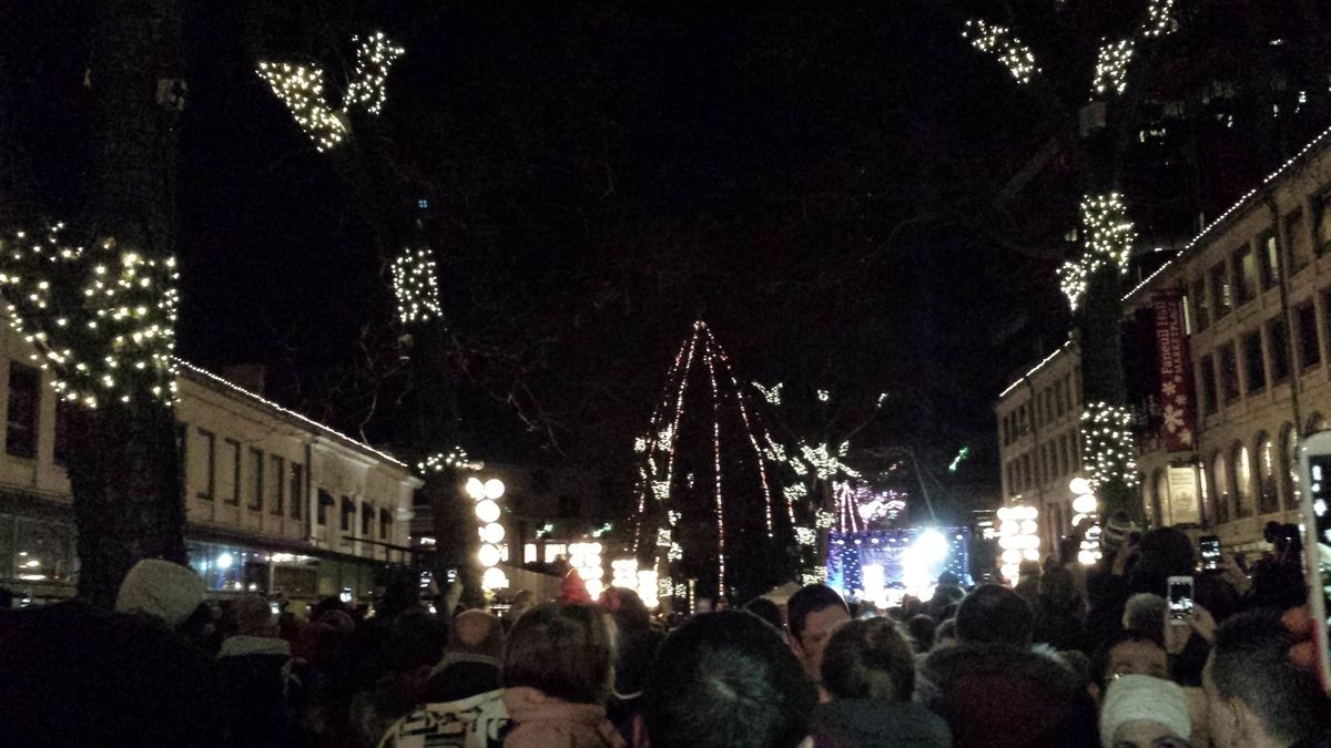 jour day 89 illuminations de no 235 l tree lighting jour day 89 illuminations de no 235 l tree lighting