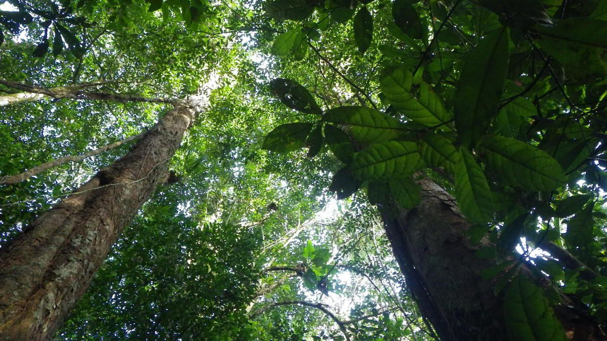 faire des rencontre en guyane