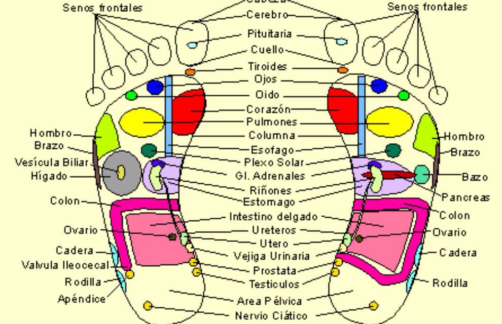 reflexoterapia prostata