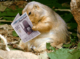 Rsultat de recherche dimages pour marmotte mangeant des tartines gif